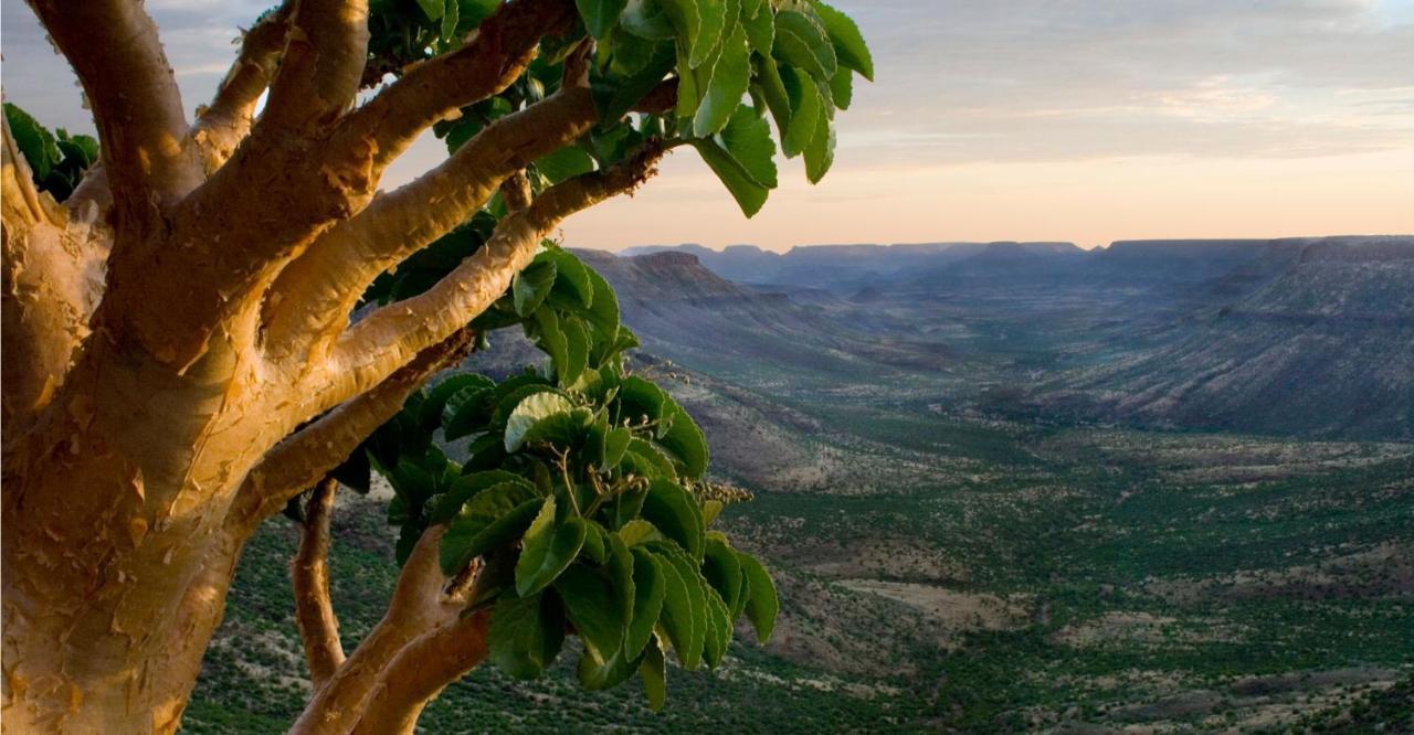 Grootberg Lodge Дамараленд Екстериор снимка